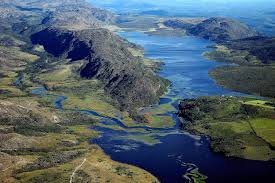 download1 download-2